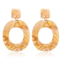 Vintage Fashion Simple Acrylic Earrings Nhct136371 main image 11