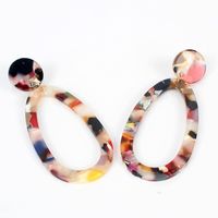 Elliptical Acetate Sheet Acrylic Earrings Nhct136386 main image 3