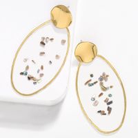 Womens Acetate Sheet Gravel Earrings Nhjq136403 main image 5