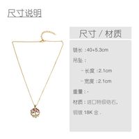 Womens Plant Inlaid Zircon Copper Plated 18k Alloy Simple Necklaces Nhas136867 main image 5