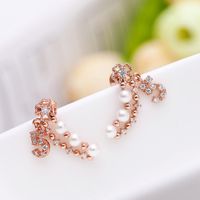 Fashion Aaa Zircon Exquisite Bead Earrings Nhtm136947 main image 3