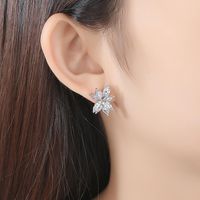 Womens Floral Copper Zircon Earrings Nhtm136960 main image 3