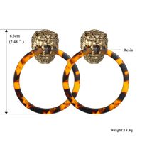 Fashion Ring Lion Head Resin Earrings Nhbq137794 main image 6