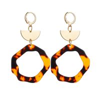 Croix-frontière Vente Chaude Alliage Demi-cercle Irrégulière Toroïdal Résine Gouttes Pour Les Oreilles Européen Et Américain Chaud Nouveau Boucles D'oreilles Pour Les Femmes sku image 1