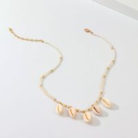 Fashion Rice Beads Natural Shell Necklace Nhnz138179 main image 5