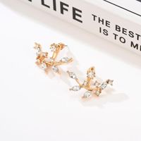 Creative Twig Full Rhinestone Front And Rear Alloy Earrings Nhxs138206 main image 4