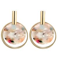 Womens Round Acrylic Two-color Series Earrings Nhct138326 main image 12