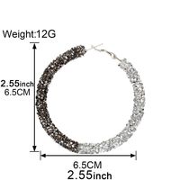 Fashion Exaggerated Large Circle Micro-encrusted Two-color Mix Earrings Nhct138360 main image 6