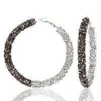 Fashion Exaggerated Large Circle Micro-encrusted Two-color Mix Earrings Nhct138360 main image 7