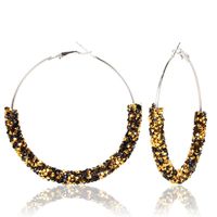 Lady Fashion Ethnic Style Round Rhinestone Artificial Gemstones Earrings main image 10