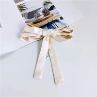 Wild Thin Strips Of Solid Color Small Scarves Nhmn138600 main image 9