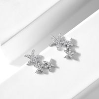 Simple And Versatile Slimming Starfish Zircon Earrings Nhll131584 main image 5