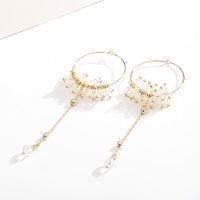 Long Fringed Super Fairy Imitated Crystal Flower Alloy Earrings Nhll131616 main image 4