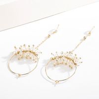 Long Fringed Super Fairy Imitated Crystal Flower Alloy Earrings Nhll131616 main image 5