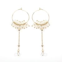 Long Fringed Super Fairy Imitated Crystal Flower Alloy Earrings Nhll131616 main image 6