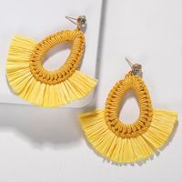 Wild Woven Dream Color Earrings Nhjq131736 main image 1