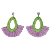 Wild Woven Dream Color Earrings Nhjq131736 main image 7