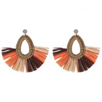 Wild Woven Dream Color Earrings Nhjq131736 main image 11