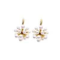 Style Coréen 2021 Nouveau Personnalisé Perle Artificielle Boucles D'oreilles Femmes Simple Gracieux Polyvalent Personnalité Rétro Crochet D'oreille Célébrité Internet Oreille Clip main image 6