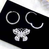 Fashion Creative Big Butterfly Earrings Nhdo138859 main image 5