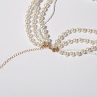 Multi-layer Tassel Beads Rice Beads Necklace Nhxr141712 main image 5