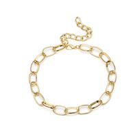 Stylish Single Layer Oval Chain Metal Necklace Nhxr141771 main image 5