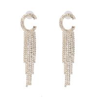 Fashion Claw Chain Studded Tassel Geometric Earrings Nhjj142138 main image 14