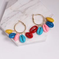 Fashion Color Shell Conch Earrings Nhjj142165 main image 1