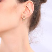 Womens Geometric Rhinestone Alloy Earrings Nhqd142292 main image 4