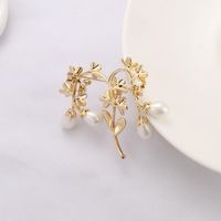 Fashion Court Twig Alloy Beads Brooch Nhdr142881 main image 5