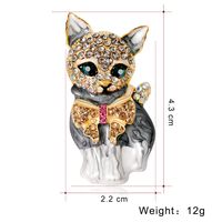 Cartoon Style Animal Alloy Plating Other Women's Brooches main image 4