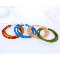 Simple Multicolor Open Round Acetate Earrings Nhgo143017 main image 5