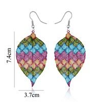 Stylish Geometric Colorful Aluminum Earrings Nhgo143151 main image 3