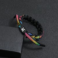 Twelve Constellations, Seven Rainbow Holographic Reflective Bracelets Nhpk143446 main image 5