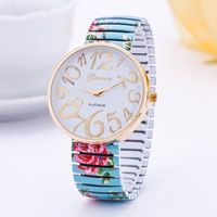 Fashion Printing Elastic Floral Steel Belt Strap Table Nhsy143333 sku image 4