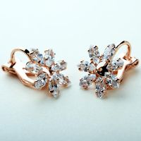 Korean Version Of The Stylish Zircon Petals Without Ear Clips Nhlj143887 main image 6