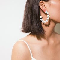 Fashion Shell Fragments, Rice Beads, Mix And Match, Semi-circular Earrings Nhxr144512 main image 1