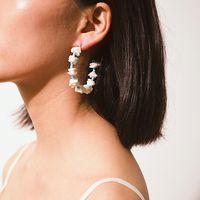 Fashion Shell Fragments, Rice Beads, Mix And Match, Semi-circular Earrings Nhxr144512 main image 3