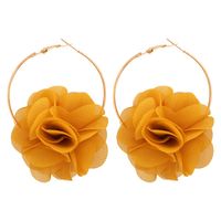 Fashion Simple Three-dimensional Flower Bud Earrings Nhmd139231 sku image 1