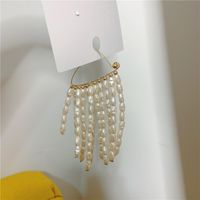 Europäische Und Amerikanische Übertriebene Hand Gefertigte Perlen-quasten-ohrringe, Kalte Wind-persönlichkeit, Internet-promi-frauen, Mode-ohrringe, Frauen main image 4
