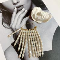 Europäische Und Amerikanische Übertriebene Hand Gefertigte Perlen-quasten-ohrringe, Kalte Wind-persönlichkeit, Internet-promi-frauen, Mode-ohrringe, Frauen main image 5
