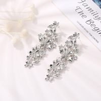 Fashion Flower Alloy Earrings Nhdp145128 main image 4