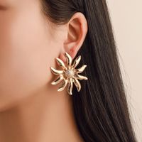 Simple And Fresh Sun Flower Alloy Stud Earrings Nhdp145153 main image 2