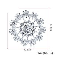 Fashion Wild Rhinestone Brooch Nhdr145789 main image 5