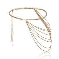 Simple Exaggerated Multi-layer Tassel Chain Waist Chain Nhxr146595 main image 5