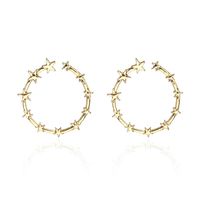 Fashion Simple Alloy Star Ring Hoop Earrings Nhpf147226 main image 2