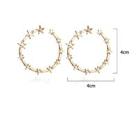 Fashion Simple Alloy Star Ring Hoop Earrings Nhpf147226 main image 3