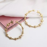 Fashion Simple Alloy Star Ring Hoop Earrings Nhpf147226 sku image 1