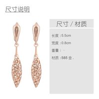 Womens Round Plating Alloy Soaring Earrings Nhas147808 main image 5