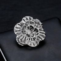 Womens Floral Plating Alloy Danrun Jewelry Brooches Nhdr147859 main image 6